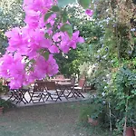 Gulec Hotel 2*
