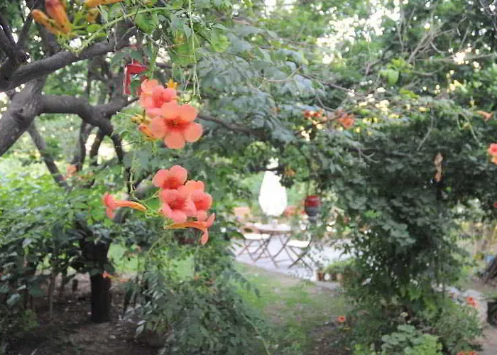 Gulec Szálloda Bodrum