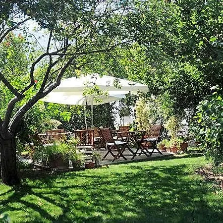Gulec 2* Bodrum