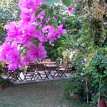 Gulec Hotel