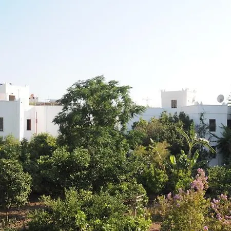 Gulec Hotel 2*