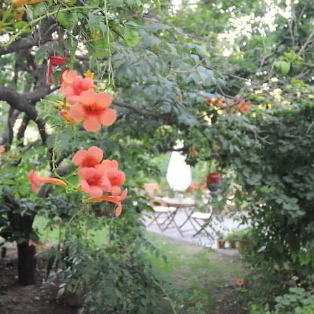 굴렉 호텔 Bodrum