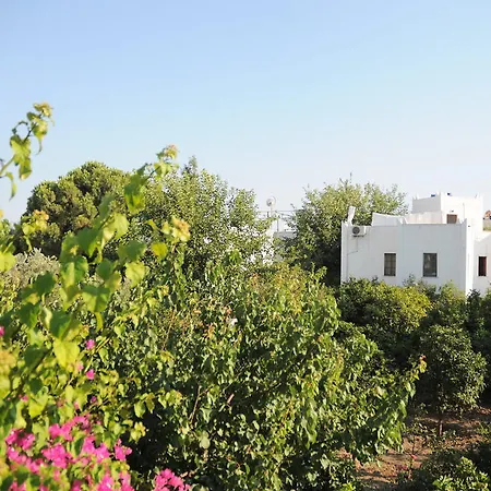 Hotel Gulec 2*