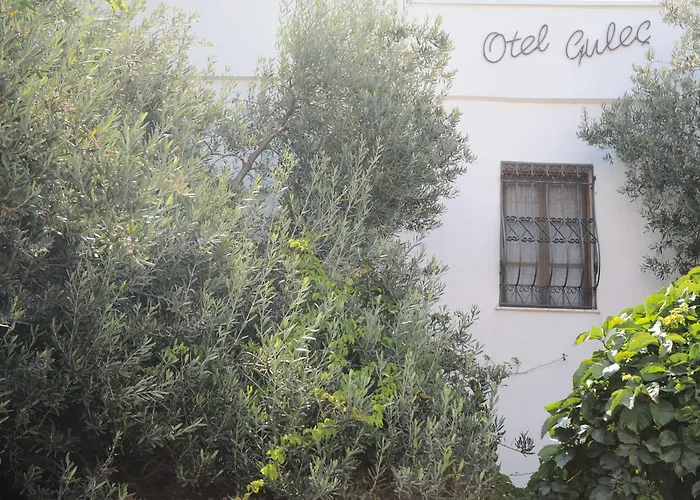 Gulec 2* Αλικαρνασσός