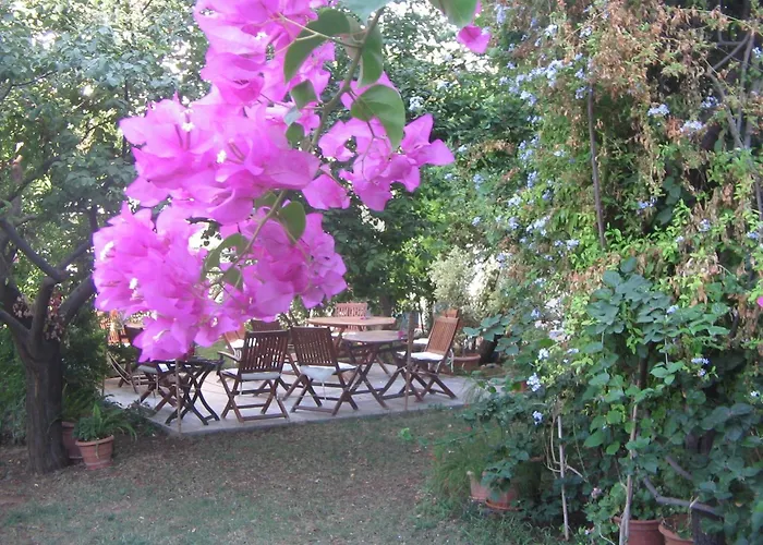 Gulec Ξενοδοχείο 2*