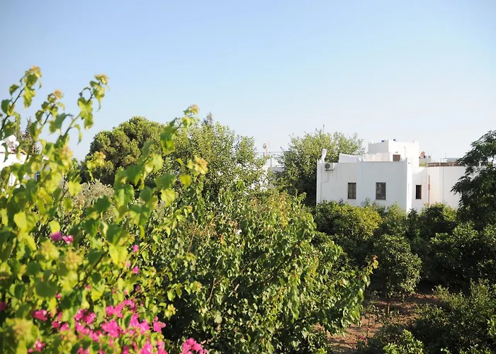 Gulec Αλικαρνασσός