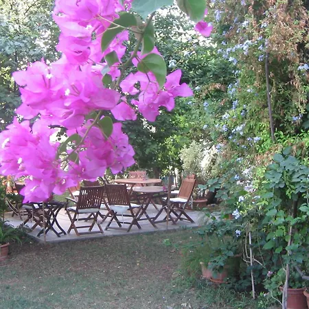 Otel Güleç 2*
