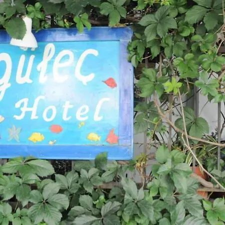 Gulec Hotel 2*
